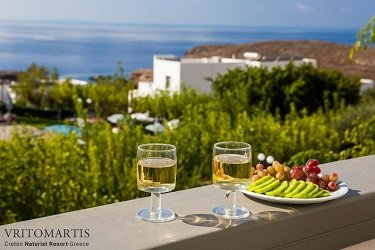 020_VRITOMARTIS_type1+